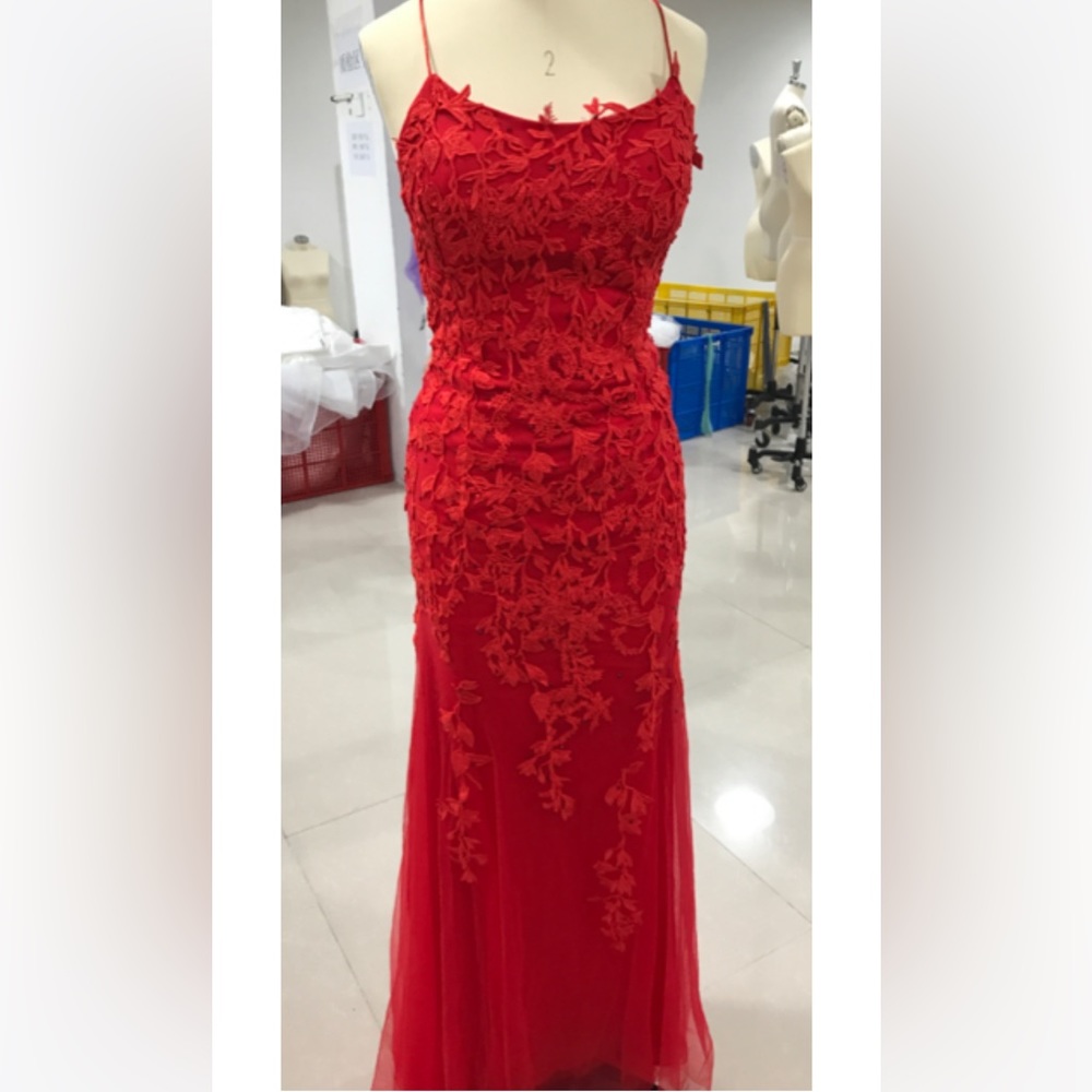 Red prom dress. Brand new. Perfect condition. Dress is from Promlily.